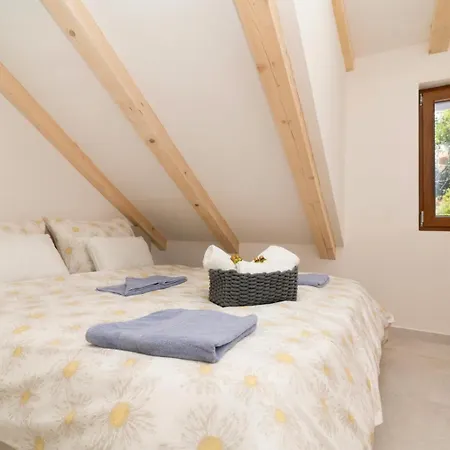 Miro 斯托莫斯卡